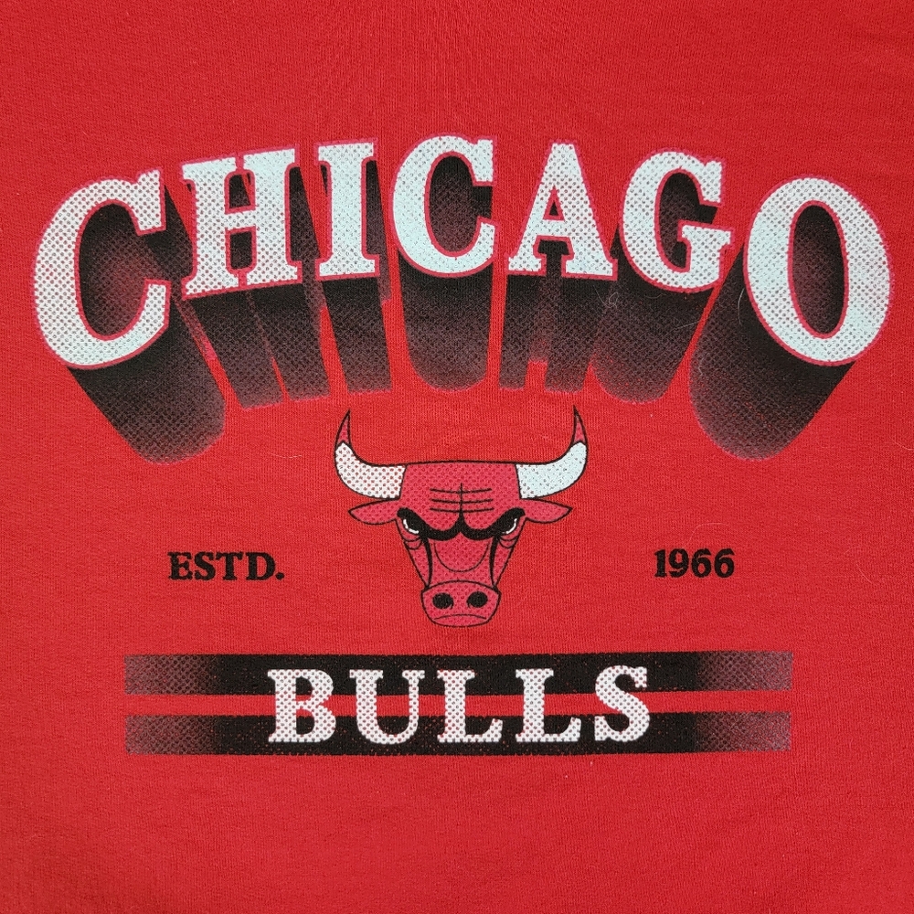 NBA Chicago Bulls Red Pullover Hoodie Kangaroo Pocket Sports Logo Mens Size 2XL - Picture 2 of 9